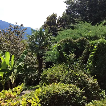 Bellaterra A By Fewotessin * Locarno